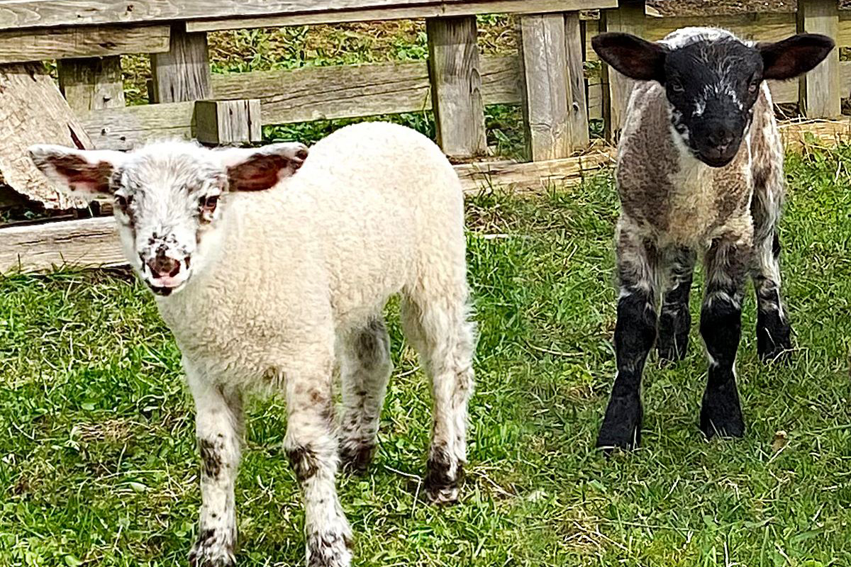 Gedanken zum Osterfest