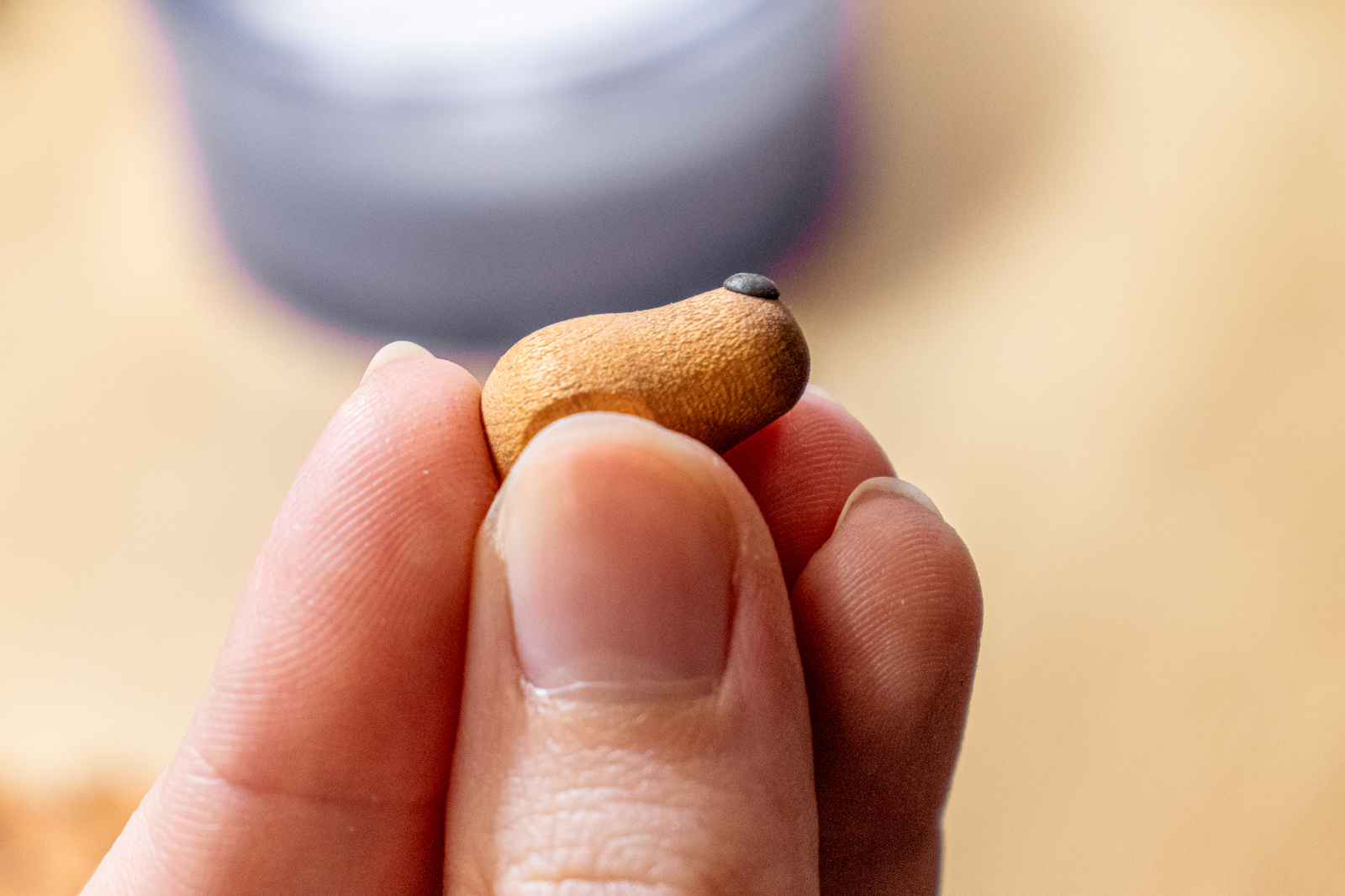 Einmal schnuppern, passt!