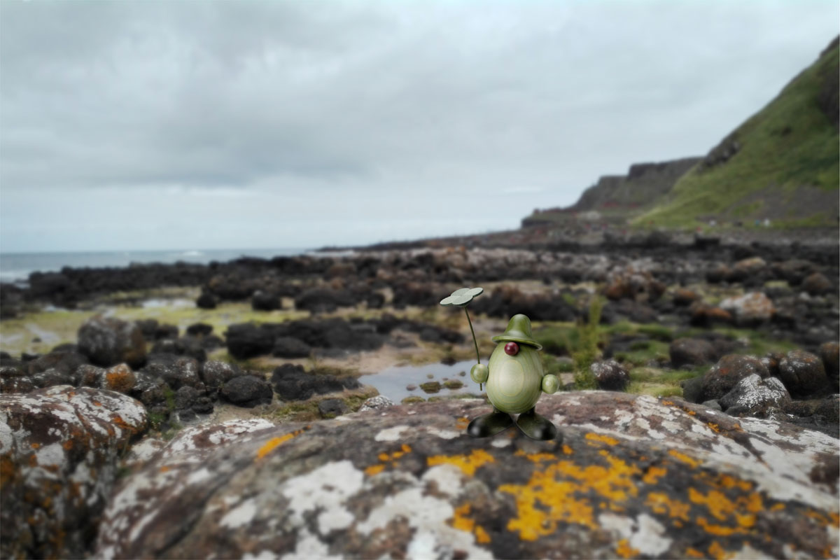 Grüne Männlein am Giant’s Causeway