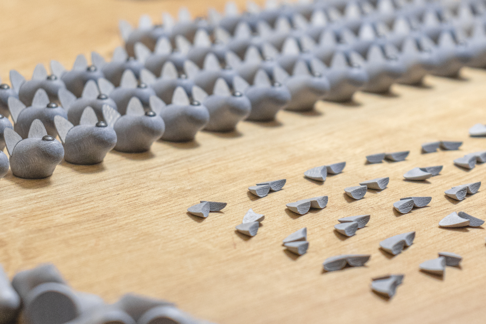 Jetzt ist der graue Vierbeiner an der Reihe.