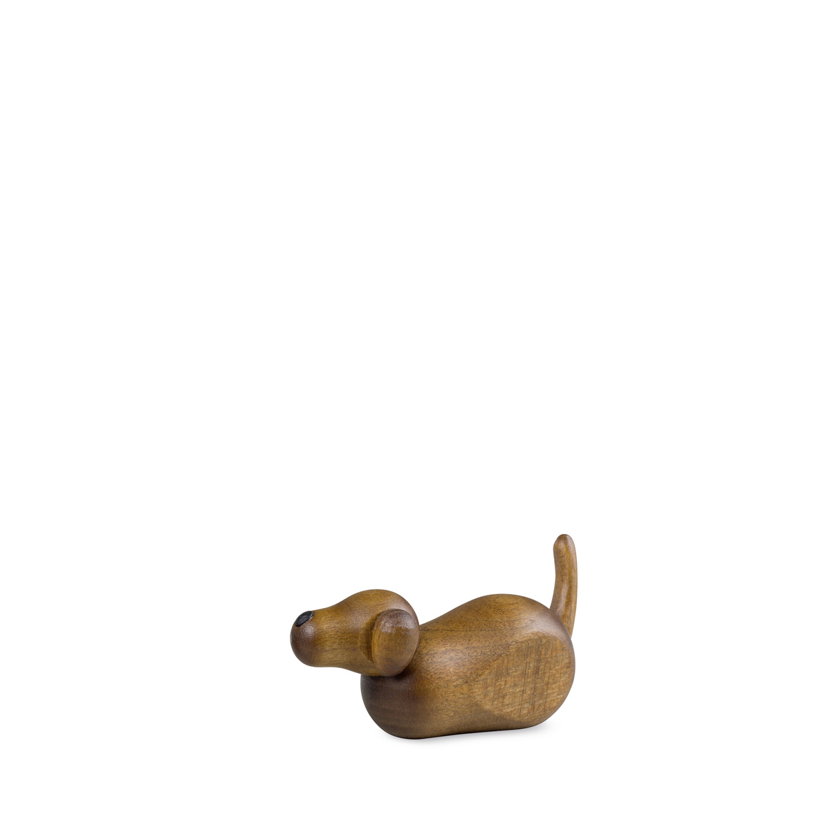 141-vorn_bk Hirtenhund liegend, klein, farbig