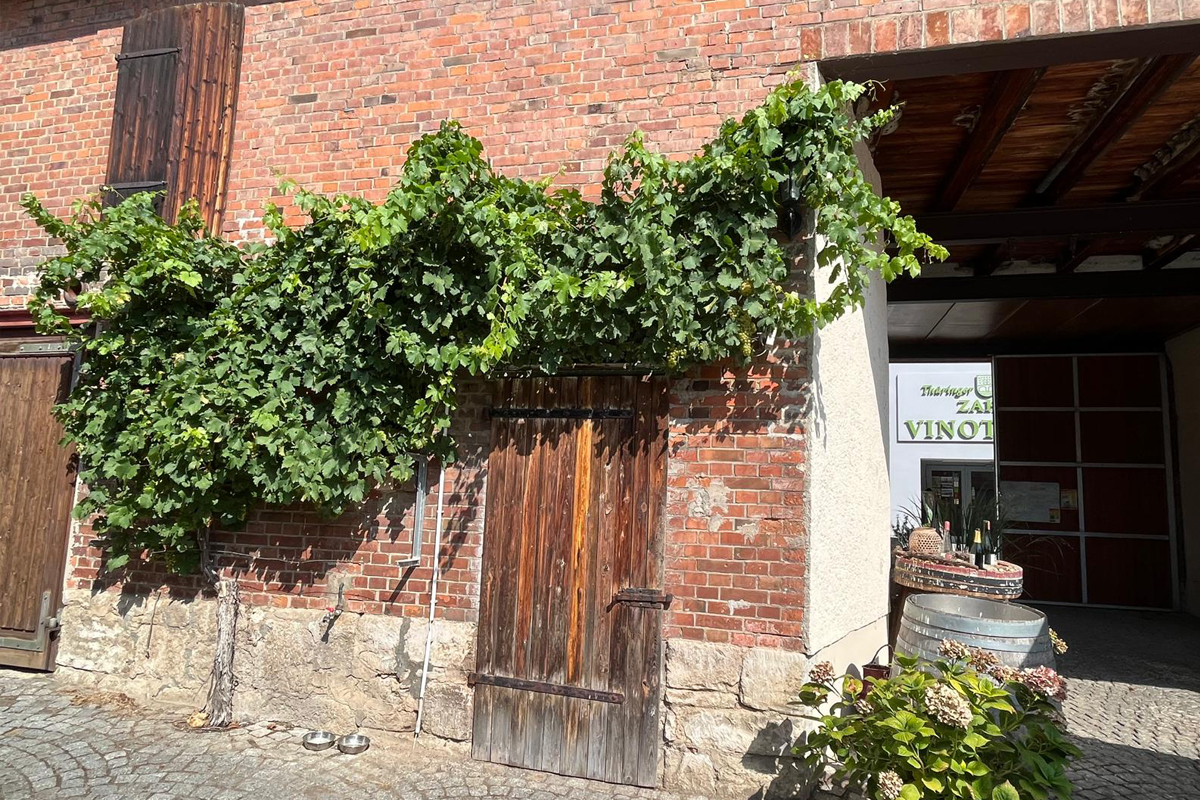 Das Thüringer Weingut Zahn bietet rund ums Jahr zahlreiche Veranstaltungen und Events an. Wir bogen ab ins Restaurant …