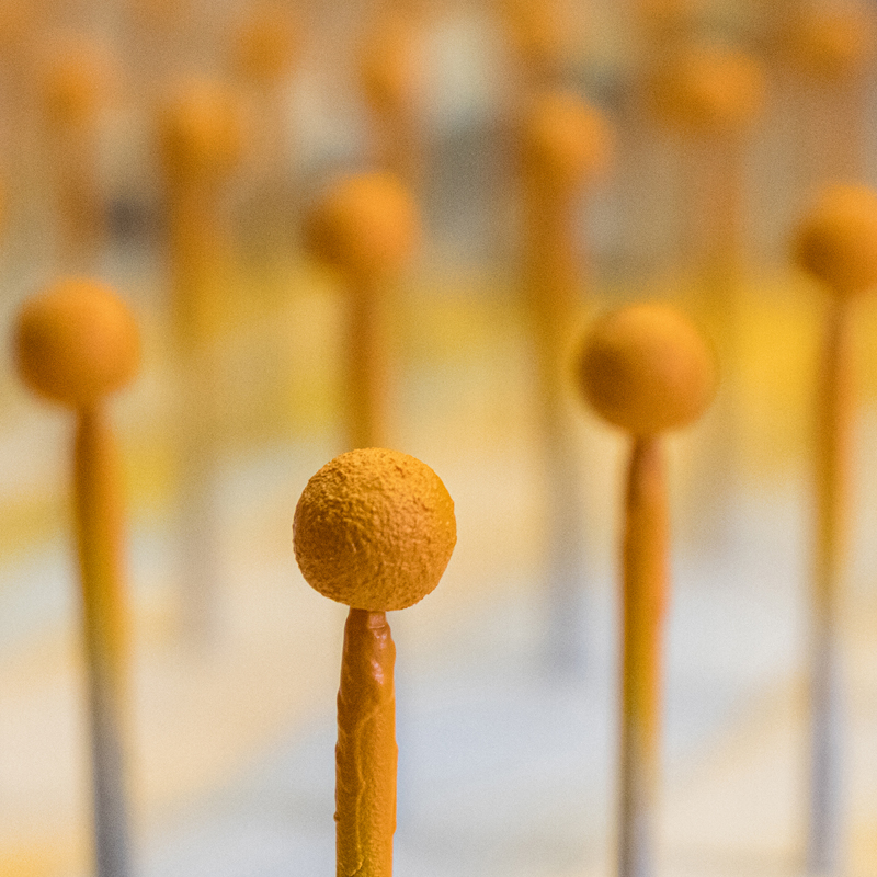 Drei verschiedene Sorten kommen in die gut gefüllte Eistüte des Hasen ...