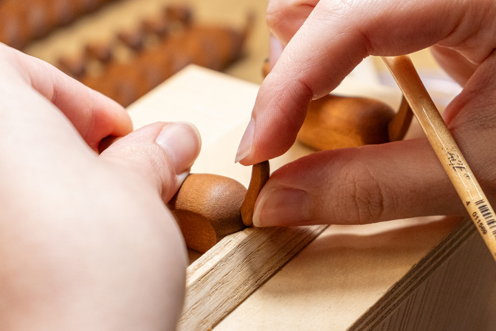 Das Hinterteil wird fixiert, um den Schwanz zu positionieren.
